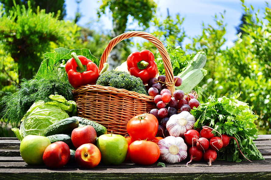 Fresh Organic Harvest Basket with Apples, Tomatoes, and Garden Vegetables HD wallpaper