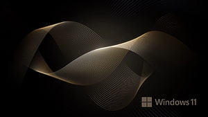 Windows 11 Dark Gold Abstract Wave Line Art Desktop Background HD wallpaper