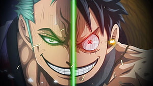 One Piece Luffy and Zoro Split Face Anime Illustration HD wallpaper