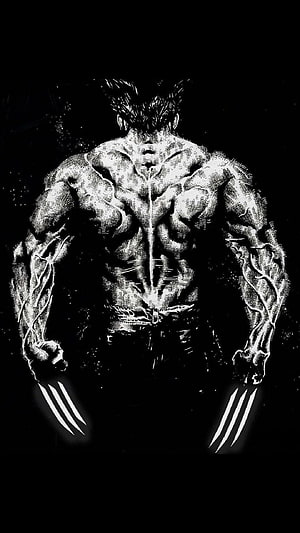 Black and White Wolverine Back View Illustration with Claws Extended HD phone wallpaper