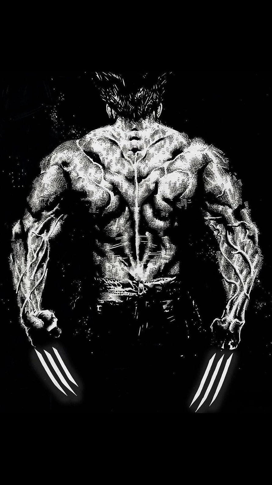 Black and White Wolverine Back View Illustration with Claws Extended HD phone wallpaper