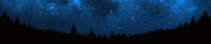Panoramic Night Sky with Starry Constellations and Silhouetted Pine Forest HD wallpaper