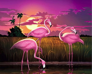 Three Pink Flamingos Wading in a Tropical Marsh at Sunset with Palm Trees HD wallpaper
