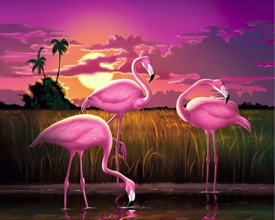 Three Pink Flamingos Wading in a Tropical Marsh at Sunset with Palm Trees HD wallpaper