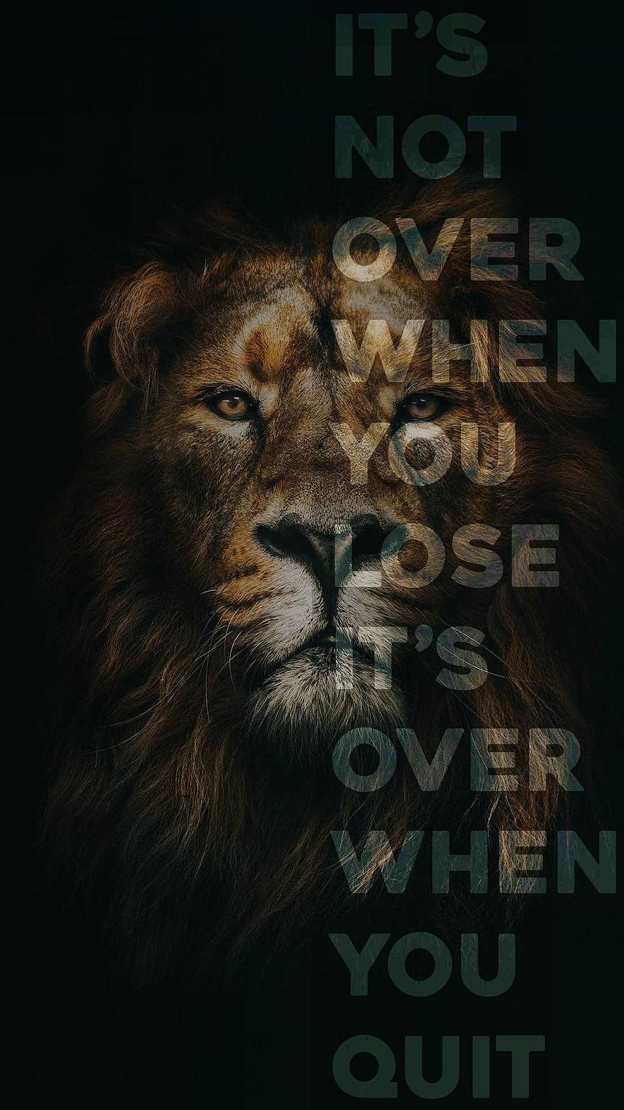 Dark Lion Portrait With Motivational Quote About Perseverance And Resilience HD phone wallpaper