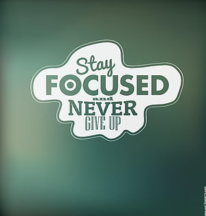 Stay Focused and Never Give Up Motivational Typography on Sage Green Background HD phone wallpaper