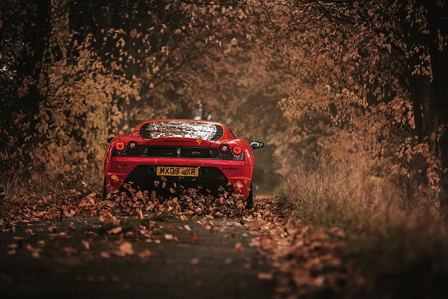 Red Ferrari 458 Speciale Rear View on Autumn Forest Road with Falling Leaves HD wallpaper