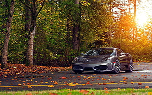 Ferrari 430 Scuderia parked on a forest road surrounded by autumn foliage and golden sunlight HD wallpaper
