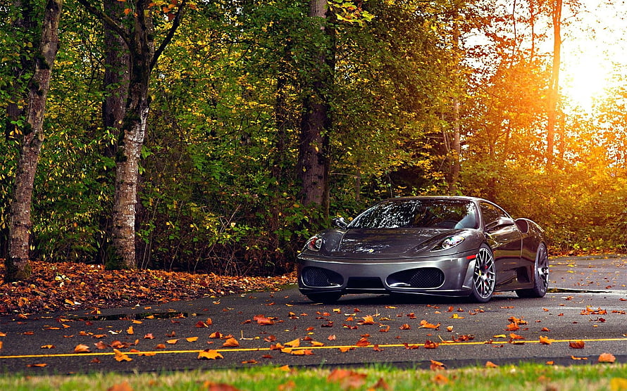 Ferrari 430 Scuderia parked on a forest road surrounded by autumn foliage and golden sunlight HD wallpaper
