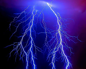 Vivid Blue Lightning Bolts Branching Across a Dark Stormy Sky HD wallpaper
