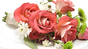 Elegant Coral Rose Bouquet with White Daisies and Green Chrysanthemums on White Background HD wallpaper