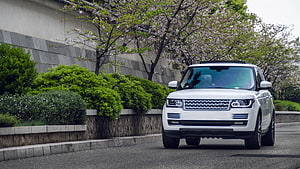 White Range Rover Sport SUV Parked on a Tree-Lined Street with Spring Blossoms HD wallpaper