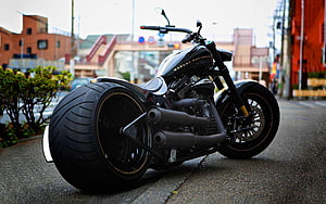 Black Harley Davidson Softail Custom Chopper Parked on Urban Street HD wallpaper