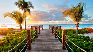 Tropical Boardwalk Leading to Ocean Shore at Golden Sunset with Palm Trees HD wallpaper