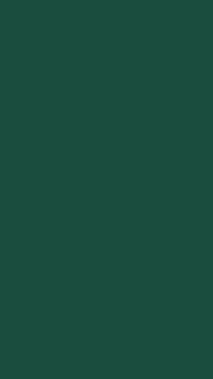 Deep English Green Solid Color Minimalist Plain Background HD phone wallpaper