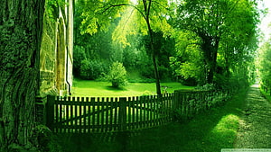 Serene Green Garden Path with Wooden Fence and Stone Wall HD wallpaper