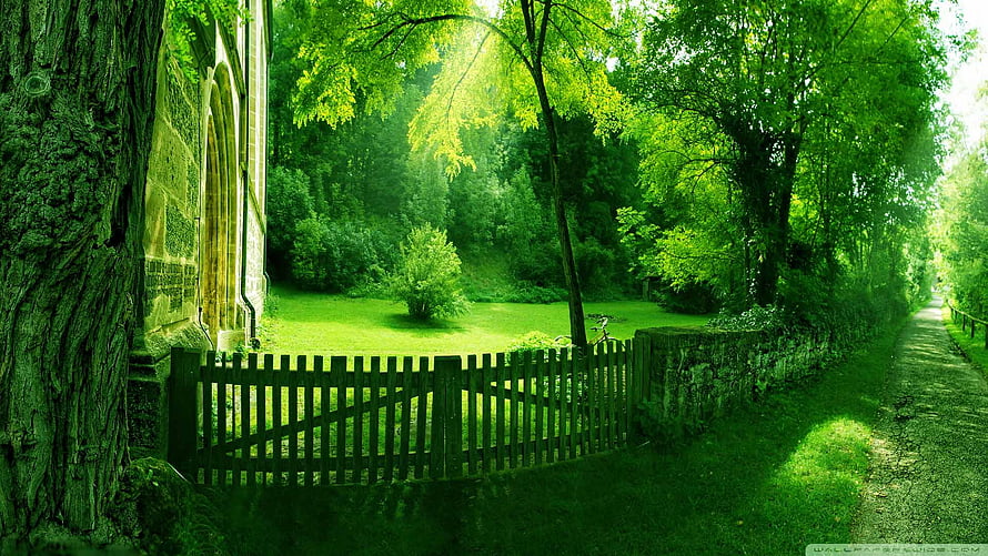 Serene Green Garden Path with Wooden Fence and Stone Wall HD wallpaper