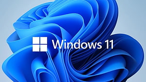 Windows 11 Default Blue Bloom Wallpaper with Official Logo and Abstract 3D Ribbon Design HD wallpaper