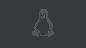 Tux the Linux Penguin Mascot Minimalist Dark Grey Silhouette HD wallpaper