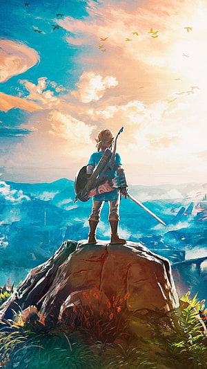 Legend of Zelda Breath of the Wild Hero Standing on Cliff at Sunset HD phone wallpaper