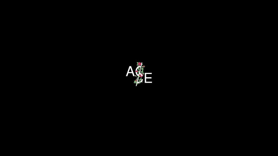 Minimalist ACE Logo with Floral Vine Design on Black Background HD wallpaper