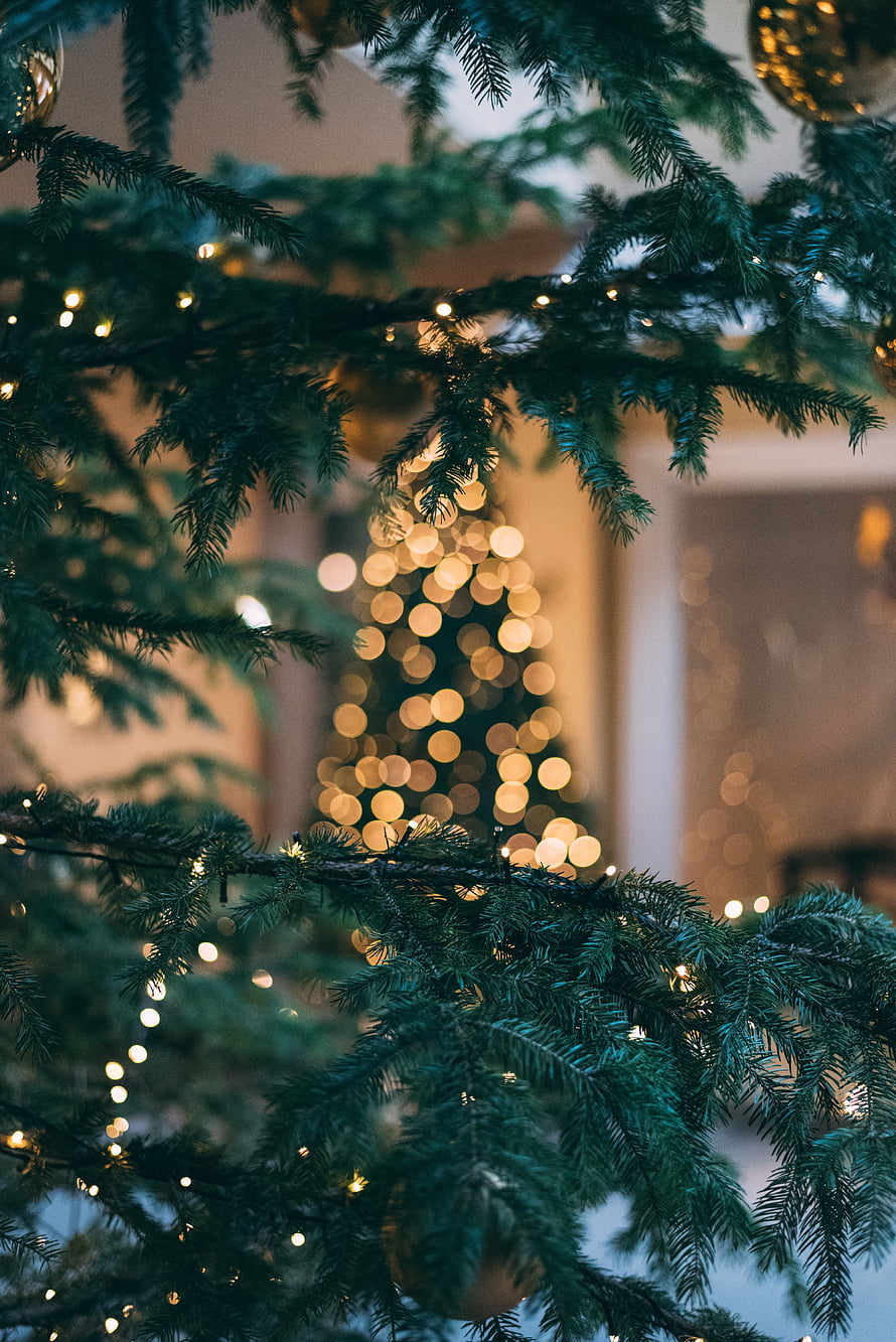 Cozy Christmas Tree Branches With Warm Fairy Lights And Golden Bokeh Ornaments HD phone wallpaper