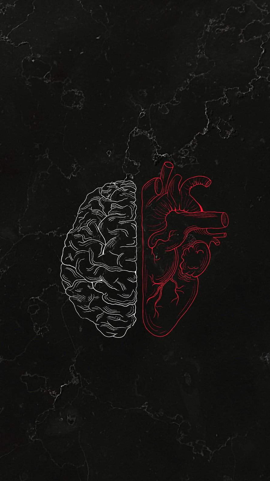 Brain and Heart Line Art on Dark Marble Background HD phone wallpaper