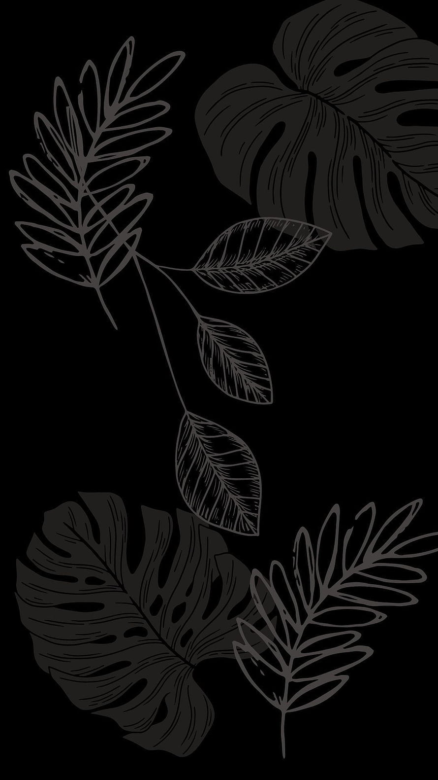 Minimalist Monstera and Fern Leaf Line Art on Black Background HD phone wallpaper