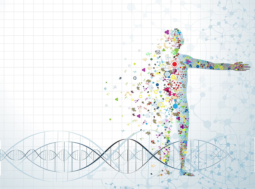 Human Silhouette Filled with Colorful Molecules and DNA Helix on Grid Background HD wallpaper