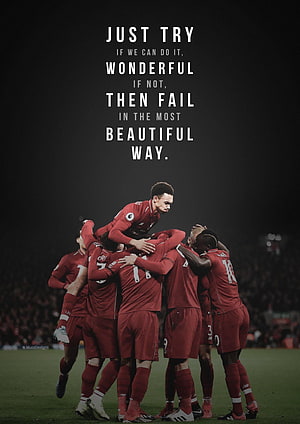 Liverpool FC players celebrating a goal in red kits on the pitch HD phone wallpaper