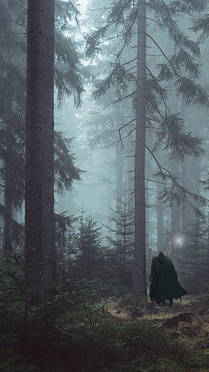 Guts from Berserk Walking Through a Misty Pine Forest HD phone wallpaper