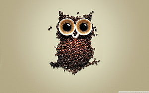 Creative Coffee Bean Owl Art with Espresso Cups as Eyes on Beige Background HD wallpaper