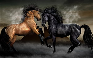 Two Majestic Horses Facing Off in a Dramatic Misty Landscape HD wallpaper