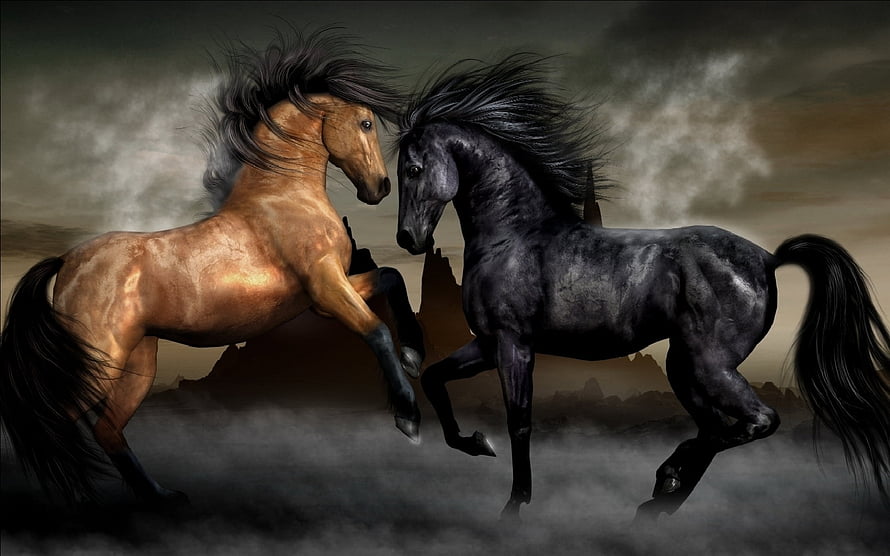 Two Majestic Horses Facing Off in a Dramatic Misty Landscape HD wallpaper