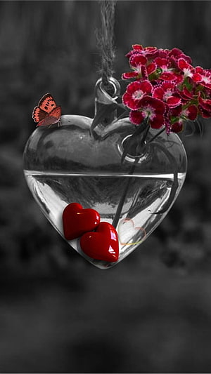 Glass Heart Vase with Red Hearts, Butterfly, and Carnations in Selective Color HD phone wallpaper