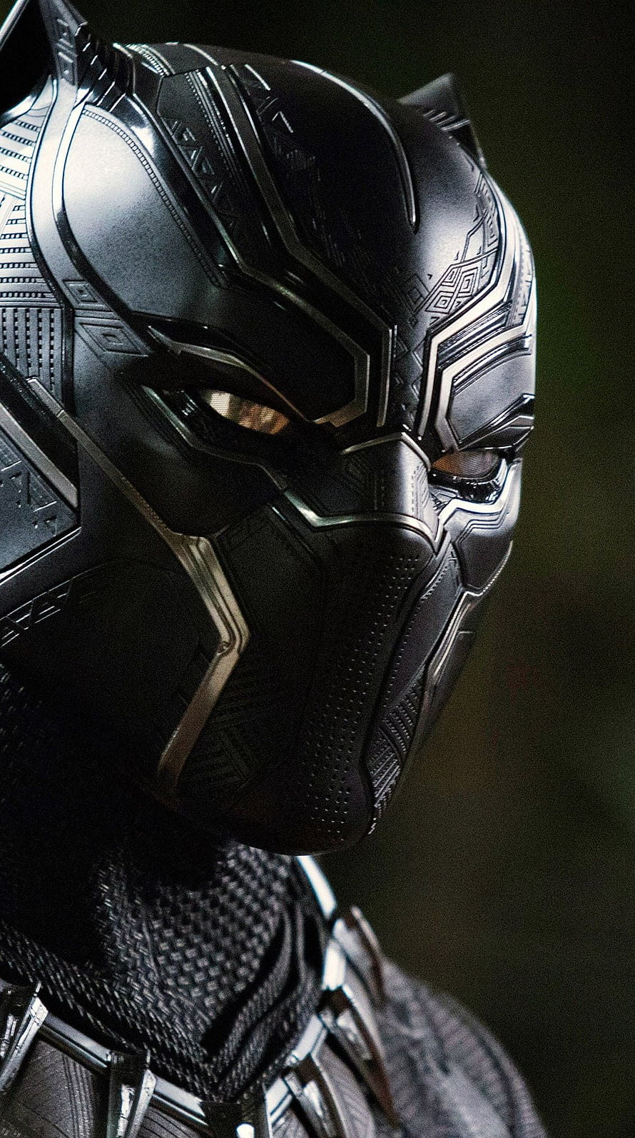 Black Panther Close-Up Portrait in Detailed Black and Silver Armor HD phone wallpaper