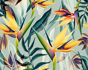 Vibrant Strelitzia Bird of Paradise Tropical Floral Pattern with Lush Green Foliage HD wallpaper