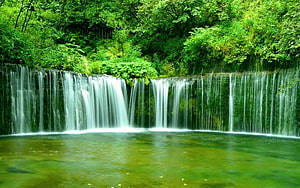 Serene Rainforest Waterfall Cascading Into a Clear Green Pool Surrounded by Lush Jungle Foliage HD wallpaper