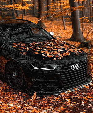 Black Audi RS6 Covered in Autumn Leaves in a Forest Setting HD phone wallpaper