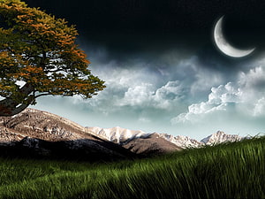 Crescent Moon Over Snow-Capped Mountains and Autumn Tree in a Serene Night Landscape HD wallpaper
