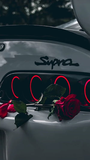White Toyota Supra Rear Detail with Red Roses and Glowing Taillights HD phone wallpaper