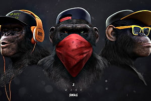 Three Stylized Chimpanzees Wearing Streetwear Accessories and Caps HD wallpaper