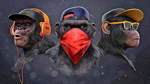 Three Stylized Chimpanzees Wearing Streetwear Accessories and Caps HD wallpaper