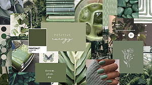 Sage Green Aesthetic Mood Board with Nature, Vintage Car, and Botanical Elements HD wallpaper