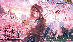 Anime Girl With Transparent Umbrella Reading Under Cherry Blossoms HD wallpaper