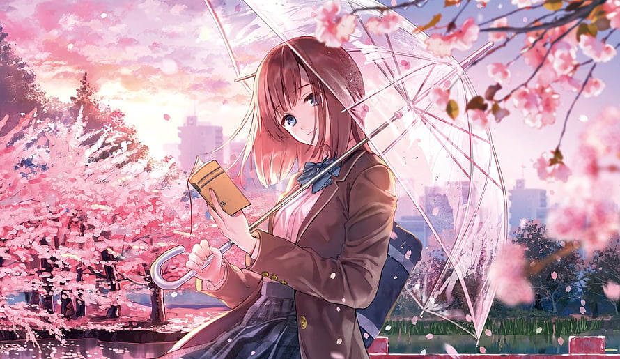 Anime Girl With Transparent Umbrella Reading Under Cherry Blossoms HD wallpaper
