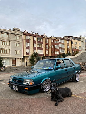Teal Tofas SLX Sedan With Custom Mesh Wheels And Black Dog In Urban Parking Lot HD phone wallpaper