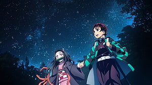 Tanjiro and Nezuko from Demon Slayer Holding Hands Under a Starry Night Sky HD wallpaper