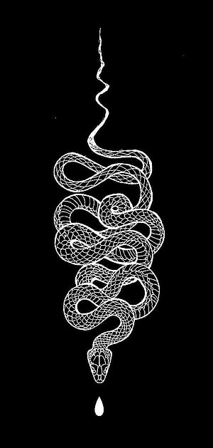 Minimalist White Line Art Snake Coiled on Black Background with Droplet HD phone wallpaper