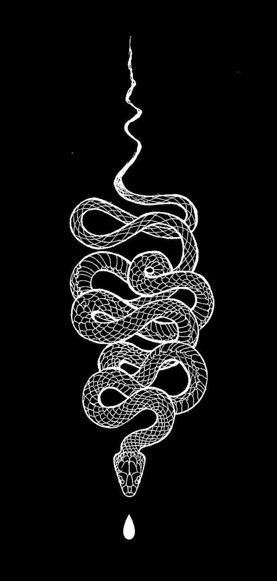 Minimalist White Line Art Snake Coiled on Black Background with Droplet HD phone wallpaper